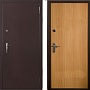 Дверь с порошковым напылением СП-313